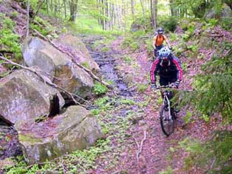 wv_elk_47a_props_d_brock